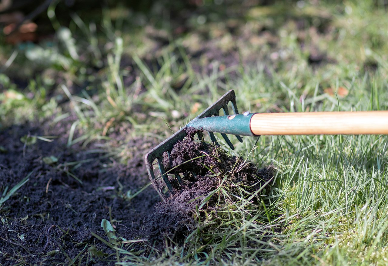 The Main Causes Of Bare Spots In Your Lawn
